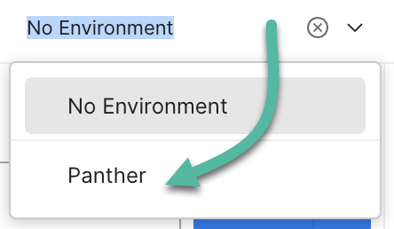 A drop-down field shows two options: "No Environment" and "Panther"